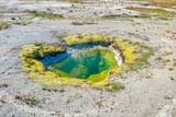 West Mustard Spring