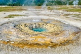 East Mustard Spring