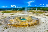 East Mustard Spring