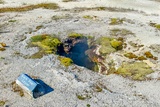 Black Pearl Geyser