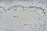 Artists' Paintpots