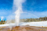 Pink Cone Geyser