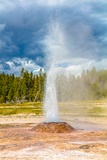 Pink Cone Geyser