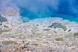 Artemisia Geyser 