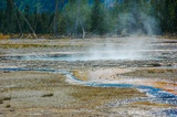 Cauliflower Geyser