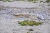 Mercury Geyser