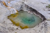 Silver Globe Pool