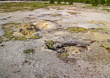 Coral Geyser