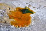 Pebble Geyser