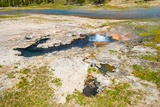 Young Hopeful Geyser