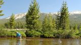 Tuolumne Meadows (vers Soda Springs)