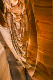 Zebra Slot Canyon