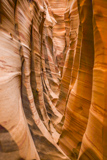 Zebra Slot Canyon