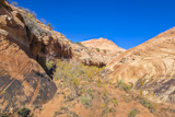 Entr&eacute;e du wash de Tunnel Slot Canyon