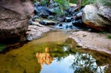 Left Fork of North Creek