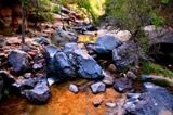 Left Fork of North Creek