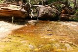 Emerald Pool Trail
