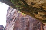 Weeping Rock