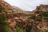 Canyon Overlook Trail