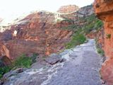 Observation Point Trail
