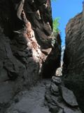 Observation Point Trail