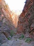 Observation Point Trail