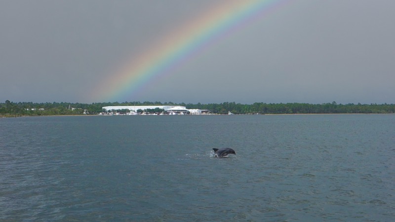 Croisière sur Wolf Bay