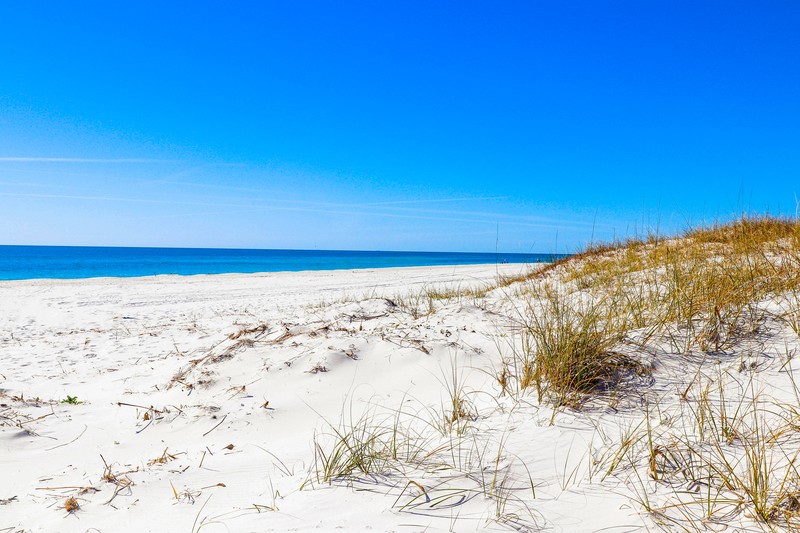 Alabama Beaches