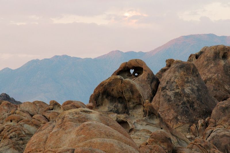 Heart Arch