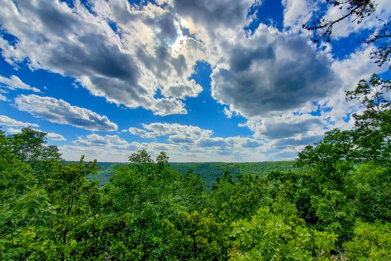 Vue de Horse Pens 40