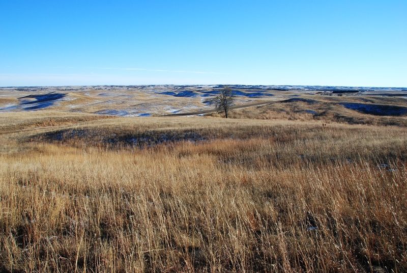 Sandhills