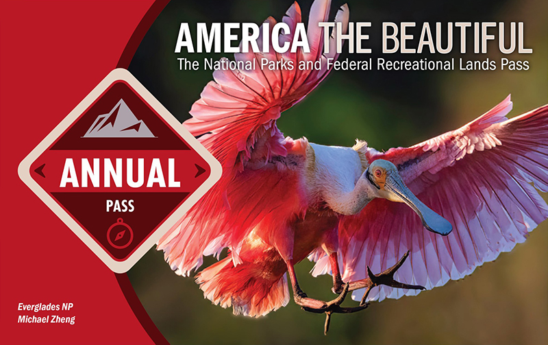 Pass America the Beautiful