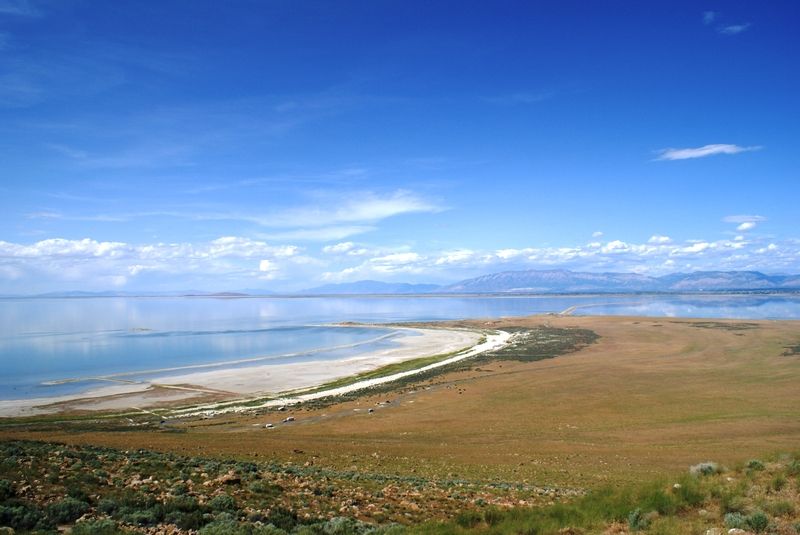 Buffalo Point