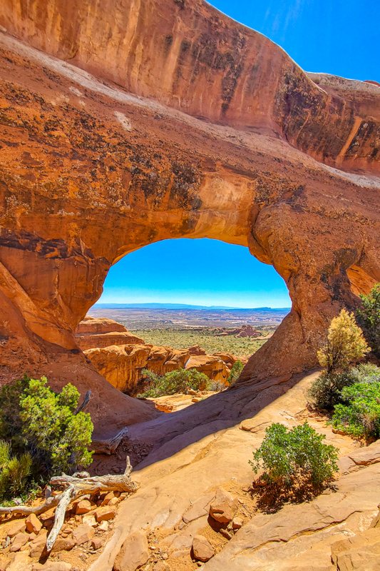 Partition Arch