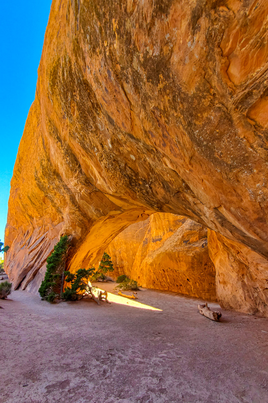 Navajo Arch