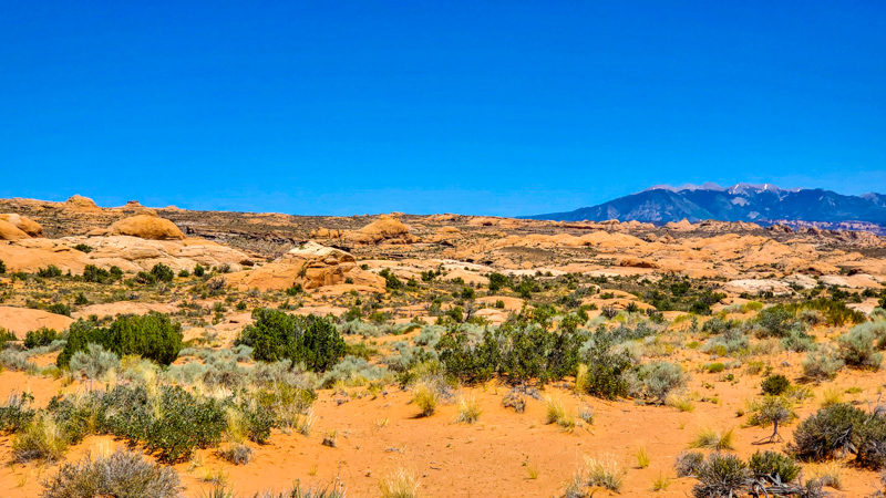 Petrified Dunes Viewpoint