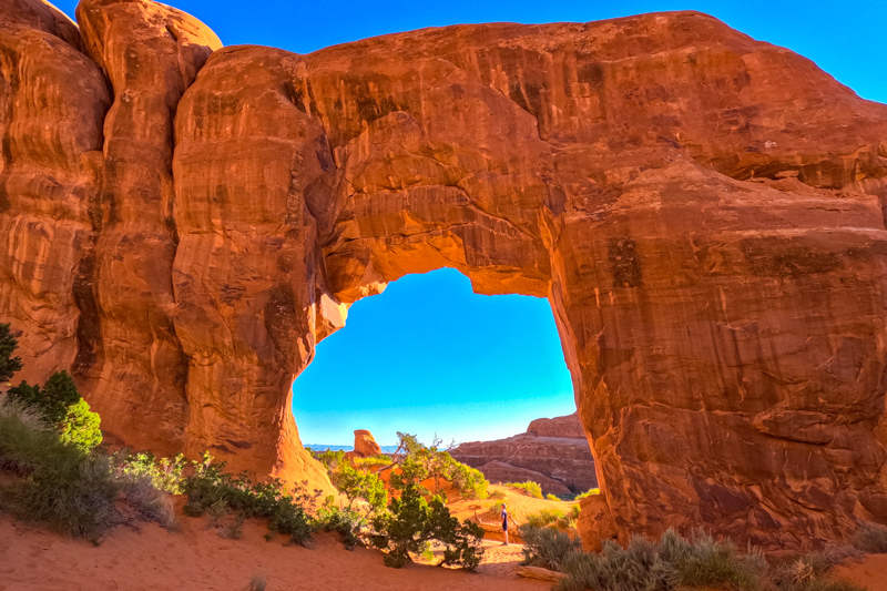 Pine Tree Arch