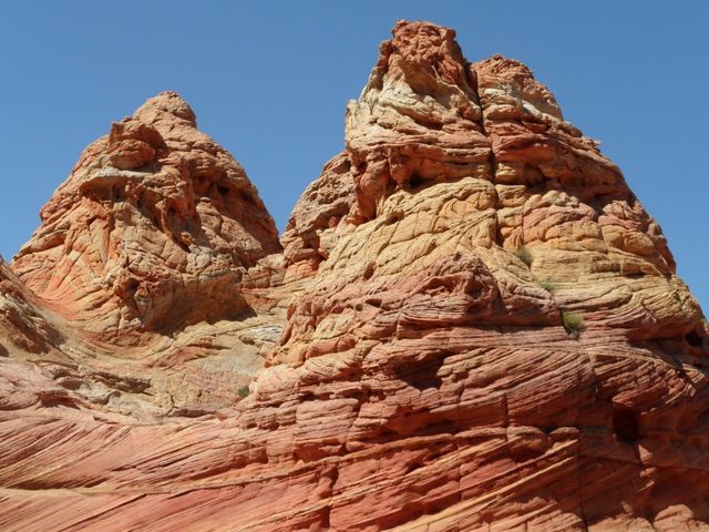 Cottonwood Cove