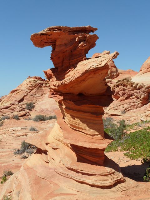 Cottonwood Cove