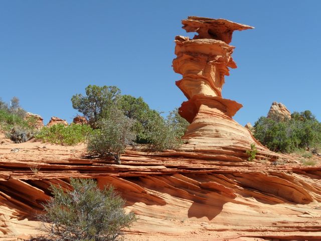 Cottonwood Cove