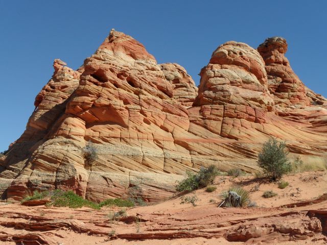 Cottonwood Cove