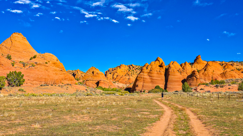 Edmaier's Secret Trail