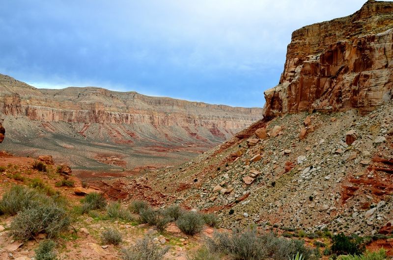 Havasu Canyon Trail