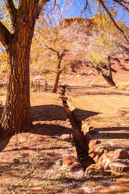Lonely Dell Ranch