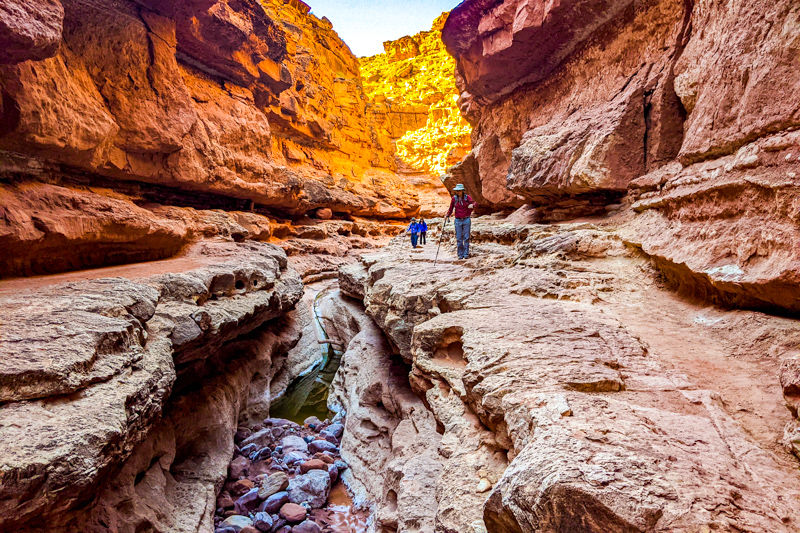 Cathedral Wash Trail