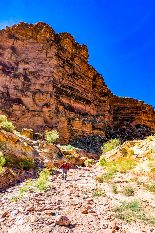 Cathedral Wash Trail