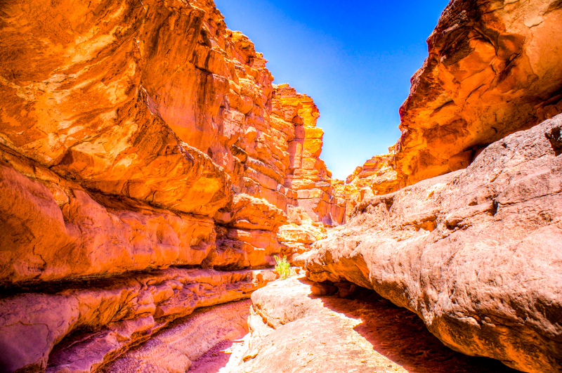 Cathedral Wash Trail