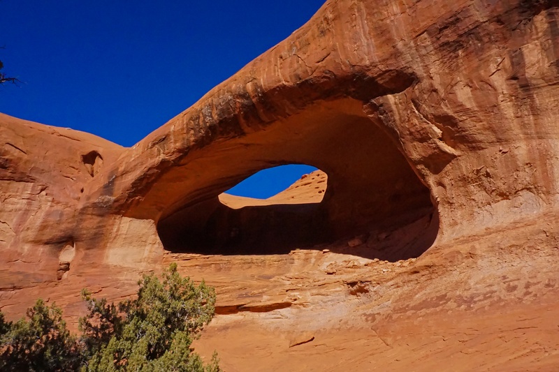 Stout Arch