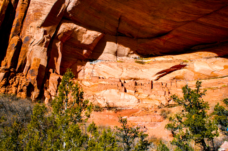 Betatakin Cliff Dwellings