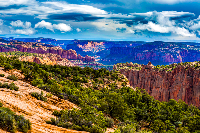 Tsegi Overlook